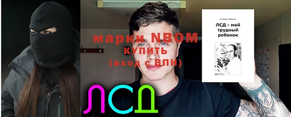 сатива Аркадак