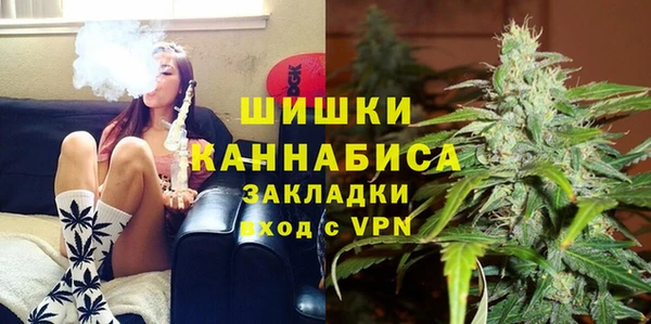сатива Аркадак