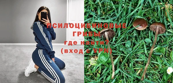 сатива Аркадак