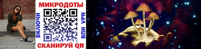 где продают Струнино Псилоцибиновые грибы GOLDEN TEACHER